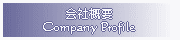 ЊTv